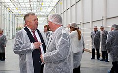 В Чувашии открылся тепличный комплекс «Новочебоксарский» проектной мощностью 20 000 тонн овощей в год