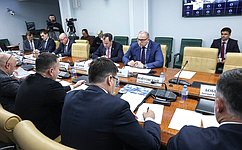 В Совете Федерации обсудили нормативно-правовое регулирование господдержки развития беспилотных авиационных систем