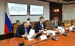 В Совете Федерации обсудили меры налоговой поддержки, направленные на стимулирование развития Северного морского пути