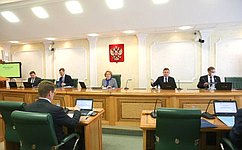 В. Матвиенко: Все необходимые законы для реализации поручений Президента должны быть приняты в весеннюю сессию