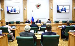 В Совете Федерации обсудили вопросы устойчивого развития муниципальных образований