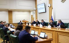 В СФ обсудили антикоррупционные полномочия муниципалитетов в условиях новой модели публичной власти