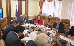 Профильный Комитет СФ поддержал коррективы Правительства РФ в программы развития Дальнего Востока