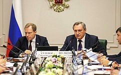 Комитет СФ по экономической политике заслушал информацию Министра энергетики РФ о развитии энергетической инфраструктуры