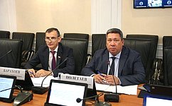 Развитие законодательства в сфере социально-культурной адаптации иностранных граждан рассмотрели в Совете Федерации