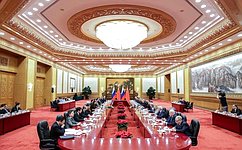 Сенаторы обсуждают с китайскими коллегами межрегиональное сотрудничество и гармонизацию законодательства
