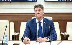 А. Шевченко: Сенаторы совместно с Фондом развития территорий участвуют в решении волнующих регионы проблем