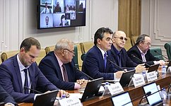 В Совете Федерации обсудили механизмы развития теплоэнергетики страны