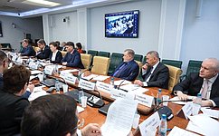 Сенаторы и эксперты обсудили актуальные вопросы развития минерально-сырьевого комплекса Российской Федерации