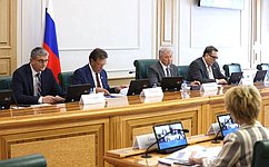 В Совете Федерации рассмотрели меры по противодействию незаконному производству и обороту спиртосодержащей продукции
