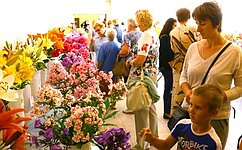 Д. Кривицкий оказал поддержку в организации городской выставки цветов в Великом Новгороде