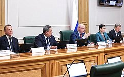 Сенаторы поддержали закон о гражданстве Российской Федерации