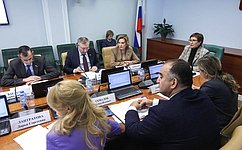 Е. Перминова: Сенаторы обсудили проекты развития качественной социальной инфраструктуры в Томской области
