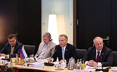 Верхние палаты парламентов России и Германии переходят к новому формату диалога