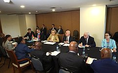 Председатель Совета Федерации обсудила с Председателем Ассамблеи Республики Мозамбик перспективы межпарламентского взаимодействия