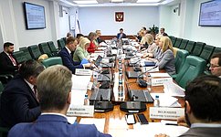 Комитет СФ по социальной политике поддержал новые законы, направленные на поддержку участников СВО