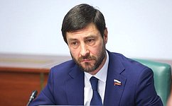 В профильном Комитете СФ обсудили актуальные вопросы социального развития Амурской области