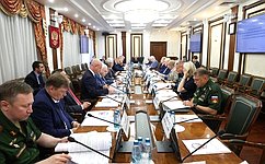 Сенаторы и эксперты обсудили участие России в деятельности по поддержанию и восстановлению международного мира и безопасности