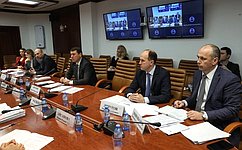 В Совете Федерации обсудили реализацию специальных программ социально-экономического развития Херсонской области