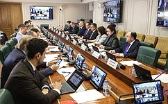 В Совете Федерации обсудили совершенствование программ субсидирования пассажирских авиаперевозок