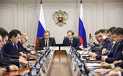 Сенаторы обсудили подготовку к «правчасу» о развитии промышленности и обеспечении технологического суверенитета РФ