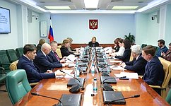 И. Святенко: Предложения сенаторов учтены в проекте Стратегии развития креативной экономики до 2036 года