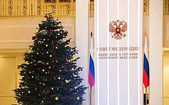 Совет Федерации присоединился к всероссийской акции «Елка желаний»