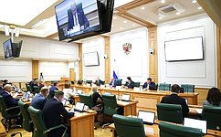 Комитет СФ по бюджету и финансовым рынкам поддержал законы о пенсионных гарантиях граждан и защите прав должников