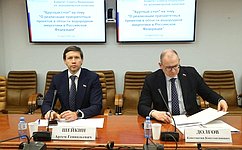 В Совете Федерации обсудили реализацию проектов в области водородной энергетики в России