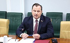 Эксперты и участники рынка обсудили первые итоги реформы сетевого комплекса на площадке Комитета СФ по экономической политике