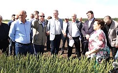 Г. Ягубов: От ставропольских аграриев зависит продовольственная безопасность страны