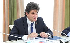 А. Высокинский предложил проанализировать и обобщить региональные практики поддержки горных территорий