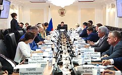 В Совете Федерации обсудили тему господдержки социально-экономического развития муниципалитетов