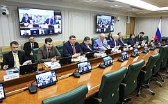 Сенаторы и эксперты обсудили вопросы сохранения мира и стабильности в Приднестровье
