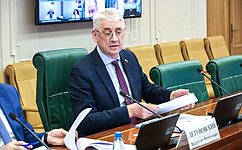 В Совете Федерации рассмотрели ход реализации поручений по развитию грузовых и пассажирских перевозок на Амуре