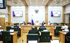 Сенаторы поддержали особенности применения законодательства по охране объектов культурного наследия в период проведения СВО