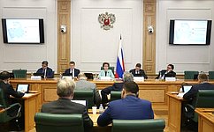 Г. Карелова провела заседание Совета по вопросам развития Дальнего Востока, Арктики и Антарктики при СФ