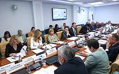 Сенаторы и эксперты обсудили внедрение Стандарта общественного капитала бизнеса в сферу экологии