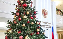 В Совете Федерации проходит Всероссийская благотворительная акция «Елка желаний»