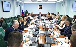 В Комитете СФ по социальной политике обсудили концепцию законопроектов, касающихся бюджетов государственных внебюджетных фондов
