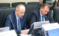 Е.Алексеев принял участие в работе комитета Совета Федерации по федеративному устройству, региональной политике, местному самоуправлению и делам Севера