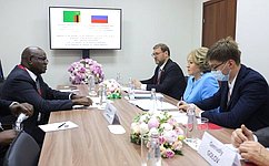 Председатель СФ В. Матвиенко провела встречу с Председателем Национальной ассамблеи Республики Замбии П. Матибини