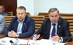В. Городецкий провел совещание по реализации шести постановлений СФ, принятых в рамках проведения Дней субъектов РФ