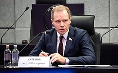 Комитет СФ по экономической политике обсудил развитие ракетно-космической отрасли в стране