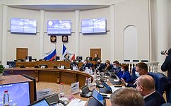 Е. Писарева рассказала новгородским депутатам о своей работе в Совете Федерации