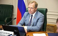 В Совете Федерации рассмотрели ход реализации индивидуальных программ социально-экономического развития регионов