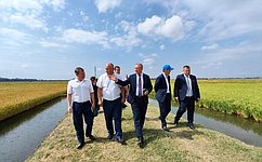 А. Кондратенко посетил Федеральный научный центр риса в Краснодарском крае