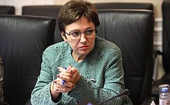 Е. Бибикова проверила строительство социальных объектов в Псковской области