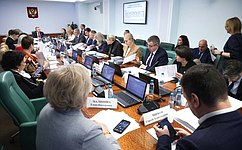 Комитет СФ по социальной политике поддержал законы о бюджетах государственных внебюджетных фондов