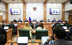 Профильный Комитет СФ поддержал кандидатуры на должности в Конституционном Суде РФ